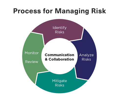 The Process for Managing Risk